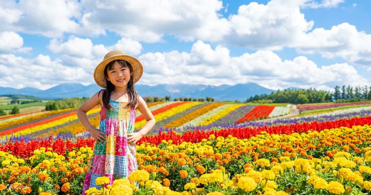北海道美瑛富良野夏のフラワーロードの旅｜パッチワークの路（車窓観光